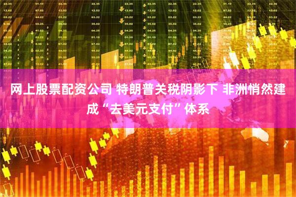 网上股票配资公司 特朗普关税阴影下 非洲悄然建成“去美元支付”体系