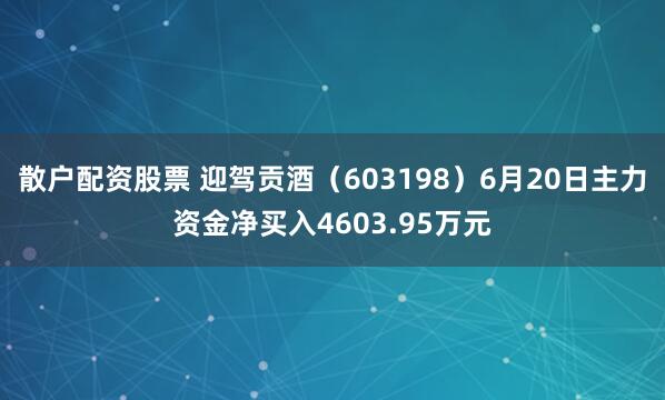 散户配资股票 迎驾贡酒（603198）6月20日主力资金净买入4603.95万元
