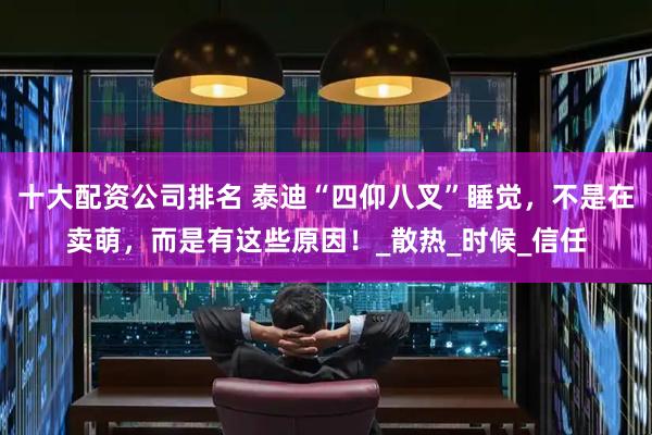 十大配资公司排名 泰迪“四仰八叉”睡觉，不是在卖萌，而是有这些原因！_散热_时候_信任