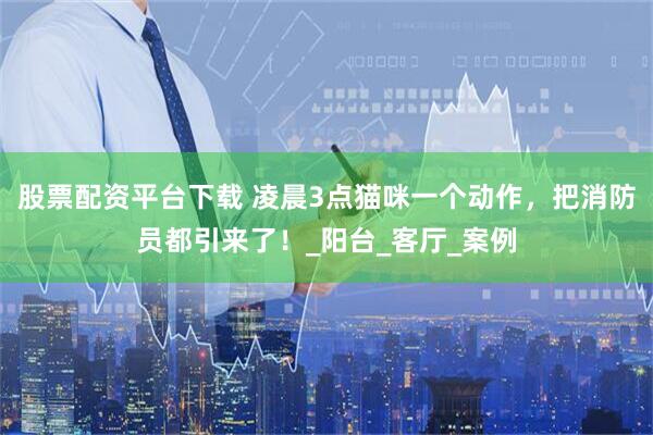股票配资平台下载 凌晨3点猫咪一个动作，把消防员都引来了！_阳台_客厅_案例