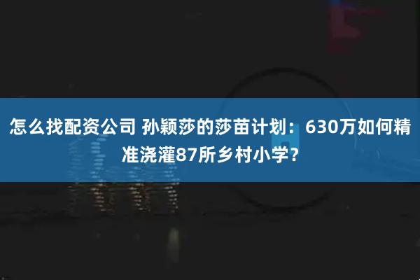 怎么找配资公司 孙颖莎的莎苗计划：630万如何精准浇灌87所乡村小学？