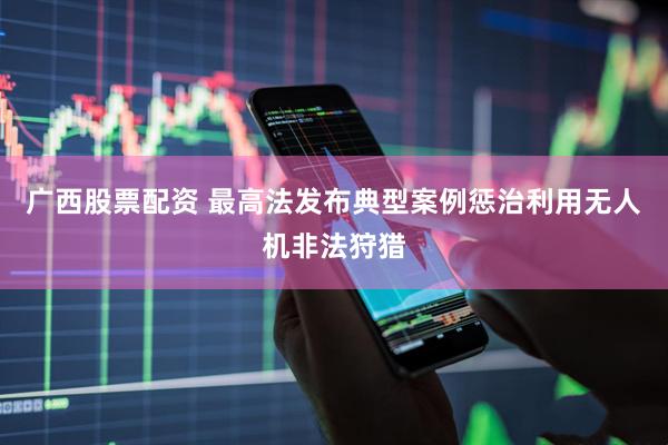 广西股票配资 最高法发布典型案例惩治利用无人机非法狩猎